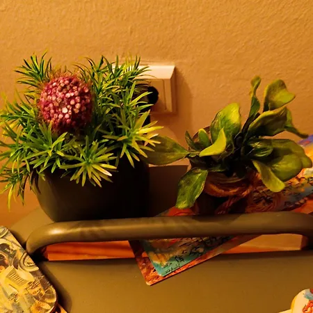 Pupa 120 M2 Center سراييفو